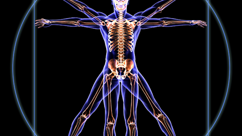 Medical Physiology: Sullivan\'s Lectures